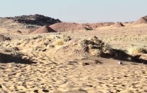 مواجهات مسلحة بين أهالي سودري والدعم السريع