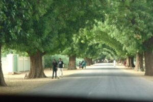 سكان بارا في مواجهة يومية مع الموت